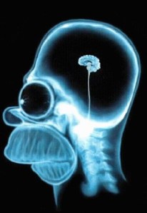 Una de las ilustraciones mostradas durante la conferencia. Credit:Ahajokes.com