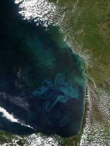 Remolinos de color azul-verdoso indicando la presencia de grandes cantidades de fitoplancton en el Golfo de Bizkaia. Credit: NASA