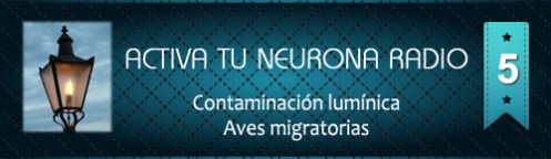 Activa Tu Neurona Radio ® Nº5 Contaminación lumínica y Aves migratorias