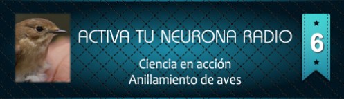 Activa Tu Neurona Radio ® Nº6 Ciencia en acción. Anillamiento de aves