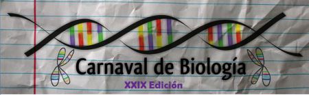 carnaval_bio