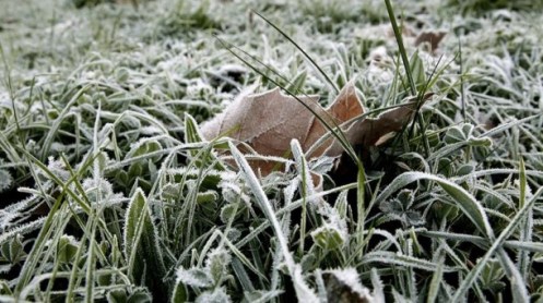 Heladas en Donostia. Foto: Eitb/Efe