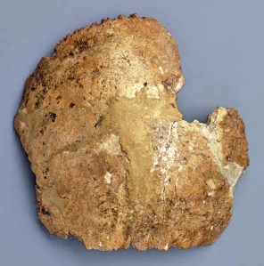 Parietal de Homo sapiens neanderthalensis. Cova Negra, Xàtiva. Foto: http://www.museuprehistoriavalencia.es