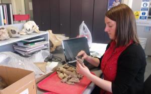 La investigadora Idoia Grau en su laboratorio. Foto: UPV/EHU