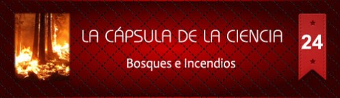 La Cápsula de la Ciencia Nº24 Bosques e Incendios
