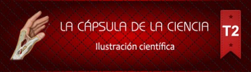 La Cápsula de la Ciencia ® Nº 126. Ilustración Científica