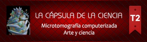 La Cápsula de la Ciencia ® Nº 189. Microtomografía computerizada. Arte y ciencia